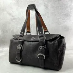 Coach Chelsea Satchel Shoulder Bag