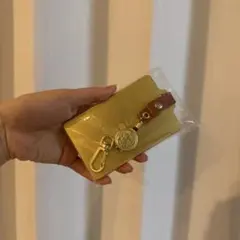 新品未使用！スターバックス　マイカスタマイズジャーニー　パスケース