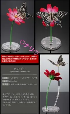 オンライン版　ナミアゲハ　いきもの大図鑑アドバンス　アゲハチョウ　昆虫　生き物