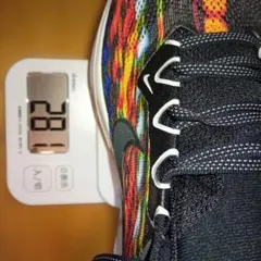 Nike PEGASUS 41　ペガサス　スニーカー