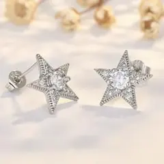 スター 星 キラキラ CZダイヤ 12mm スタッド ピアス＊シルバー＊