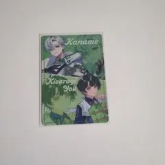 VOISINGチップス3 緑組