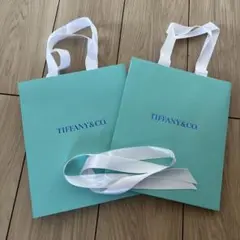 Tiffany & Co. ショッピングバッグ 2枚セット