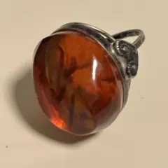 Item thumbnail for item 0590ddbb-2400-4d58-956d-94b1304aefbe