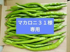 マカロニ３１様専用