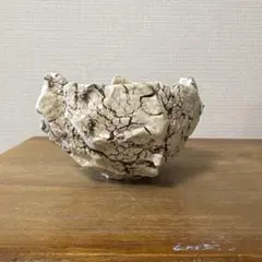 AHD 植木鉢のサムネイル