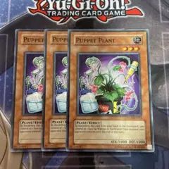 パペットプラント　英語　3枚　ノーマル