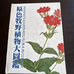 2025年最新】原色牧野植物大図鑑 2の人気アイテム - メルカリ