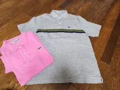 Crocodile ポロシャツ 2点セット Mサイズ