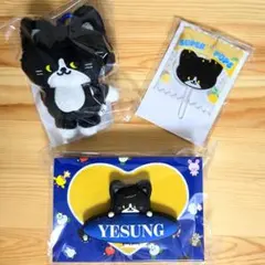 SUPERJUNIOR イェソン ぬいぐるみキーホルダー ペンライトアクセサリー SUPERJUNIOR イェソン ぬいぐるみキーホルダー ペンライトアクセサリー