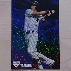 プロ野球チップスカード