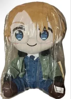BIG ぬいぐるみ アメリカ イギリス 2026年最新】ヘタリアBIGぬいぐるみの人気アイテム - メルカリ