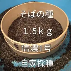 あひる様 リクエスト 3点 まとめ商品