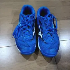 Mizuno 卓球シューズ 青　ウェーブメダル7　 サイズ26センチ　中敷きなし