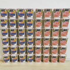 激安　ペヤングソースやきそば超大盛　カップヌードルBIG 計57個まとめ売り 激安 ペヤングソースやきそば超大盛 カップヌードルBIG 計57個まとめ
