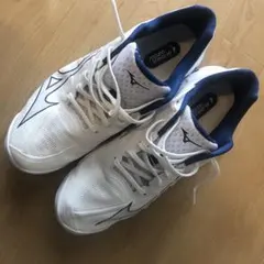 29cm/Mizuno バレーボールシューズ 11 US ホワイト/ネイビー - メルカリ