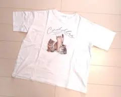 OLIVE des OLIVE 子猫プリントTシャツ ホワイトのサムネイル