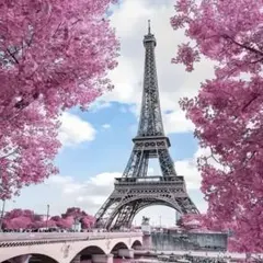 リロイ様 リクエスト 4点 まとめ商品