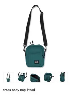 Item thumbnail for item 376e90de-3607-4a36-95a2-49b7b43cf343