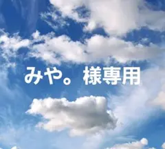 みや。様専用