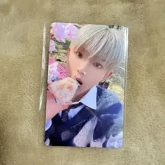 &team トレカ HARUA ラキドロ お花見