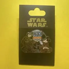 スター・ウォーズの日 ピンバッジ2点セット カリフォルニアディズニー