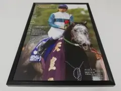 競馬 メジロマックイーン パネル 名馬の肖像