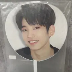 seventeen ウォヌ うちわ 2017 DIAMOND EDGE