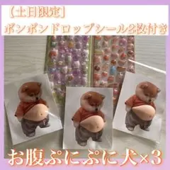 【土日限定SALE❣】柴犬 おなかぷにぷに シール 3枚＋ドロップシール2枚