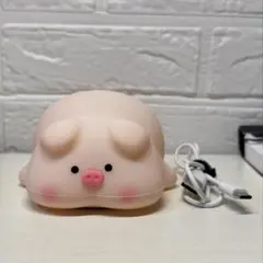 ブタ ライト