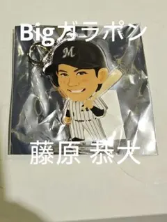 のんちゃん様 リクエスト 2点 まとめ商品