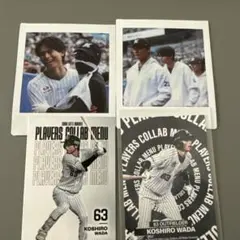 千葉ロッテマリーンズ　和田康士朗　シークレットチェキ　プレイヤーズコラボメニュー