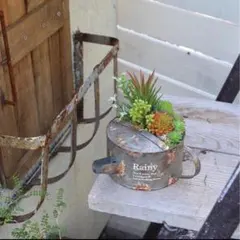 2025年最新】ジャンクガーデンの人気アイテム - メルカリ