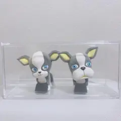 2025年最新】fluffy puffy イギーの人気アイテム - メルカリ