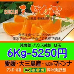 SUIGUNマドンナM玉6Kg　ハウス栽培・とろ～りゼリー触感が美味！