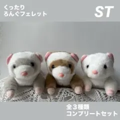 くったりろんぐフェレット　STぬいぐるみ　全3種コンプリートセットのサムネイル