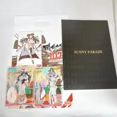 シノビマスター閃乱カグラ NEW LINK 閃乱カグラセット C107
