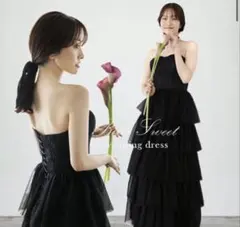 ブラックティアードドレス フリーサイズ