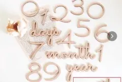 Item thumbnail for item fd024516-c4e7-4d39-9797-6f9d1eb6a6ad