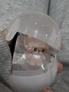 zeroni めじるしアクセサリー ハニニ ハオzerobaseone