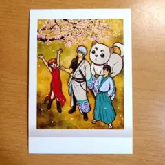 銀魂　ぱしゃこれ　万事屋　坂田銀時　神楽　志村新八