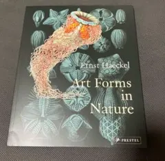 ヘッケル《Art Forms in Nature》Ernst Haeckel