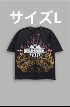 2026年最新】darc sport tシャツの人気アイテム - メルカリ