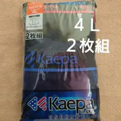 Kaepa ボクサーブリーフ 4L 2枚組 前開きのサムネイル