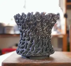 手作植木鉢 陶器鉢 塊根植物 アガべ XLサイズ口径15.5cm B-107 - メルカリ