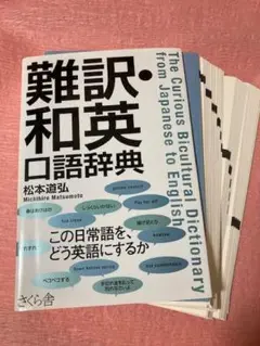 【裁断本・ほぼ未使用】難訳・和英口語辞典