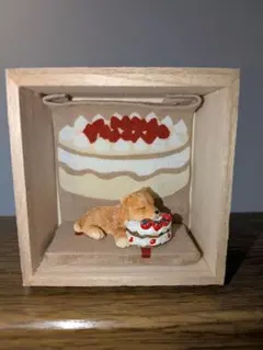 柴犬ボックス　ケーキ