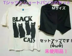 ブラックキャッツ猫 Tシャツとショートパンツ上下セット！