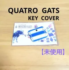 ♦QUATRO GATS•キーカバー ブルー白ボーダー柄