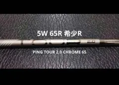 2026年最新】ピンツアー2.0クロームの人気アイテム - メルカリ